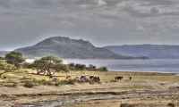 Natural Rift Valley